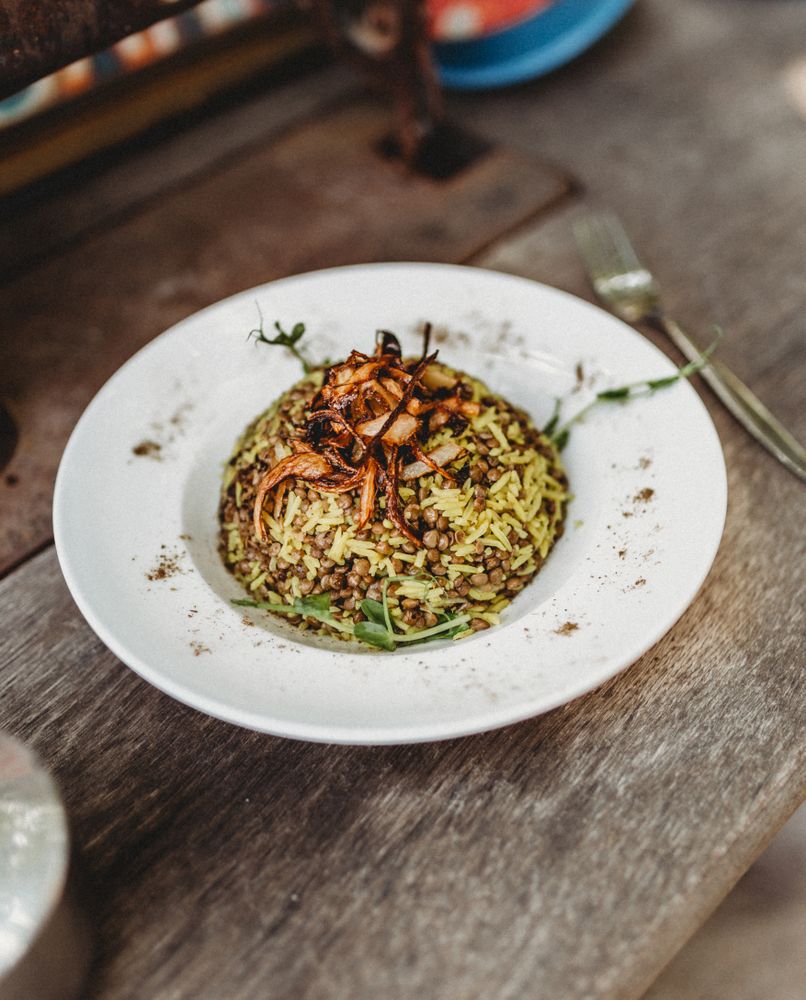 plate of delicious Mujaddara