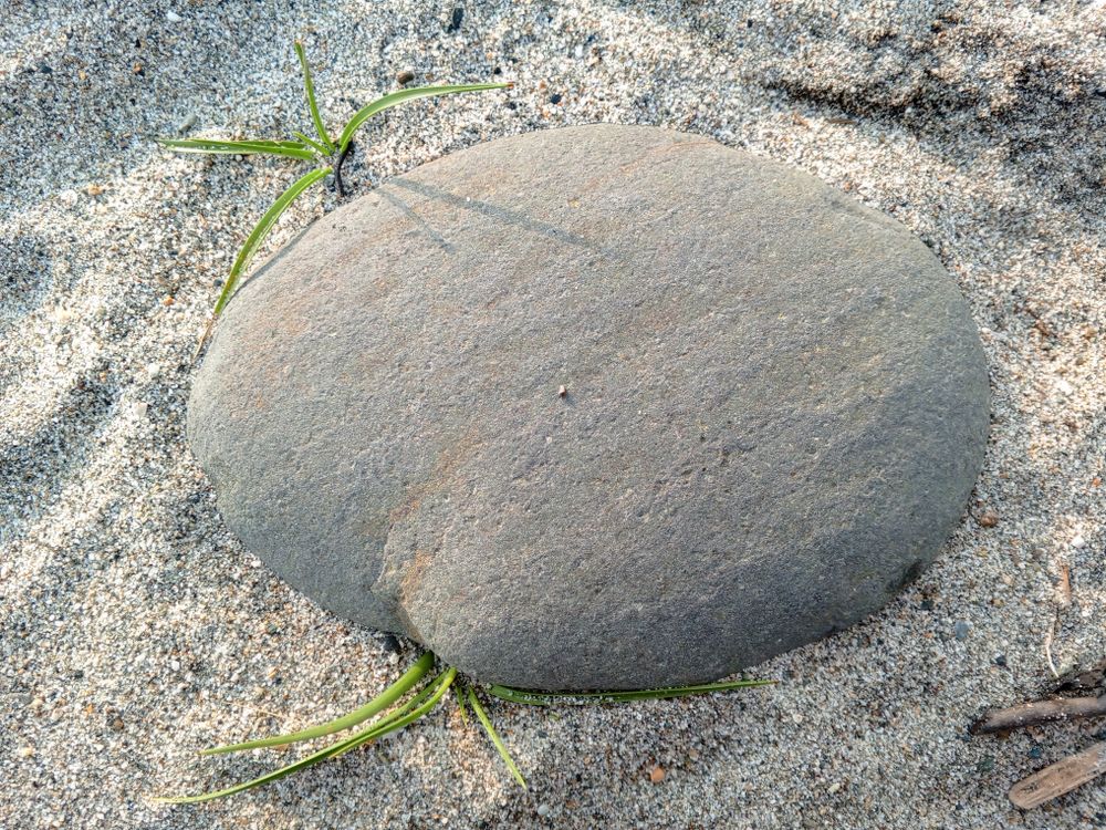 Beach stone
