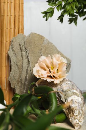 Composition for Zen, Relaxation, Harmony and Balance concept