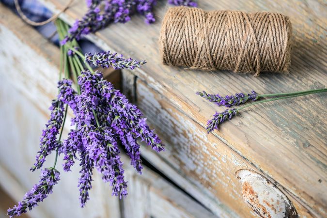 Lavender flowers with string