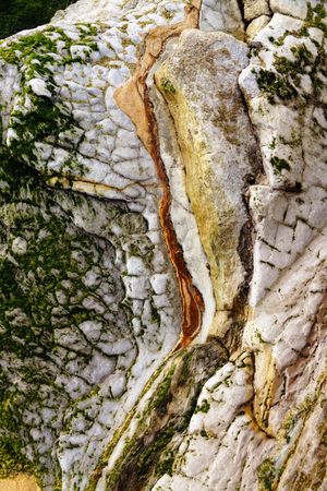 Green moss on rough stone