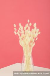 Dried flowers in glass vase on table against pink wall, vertical composition 0gVgjb