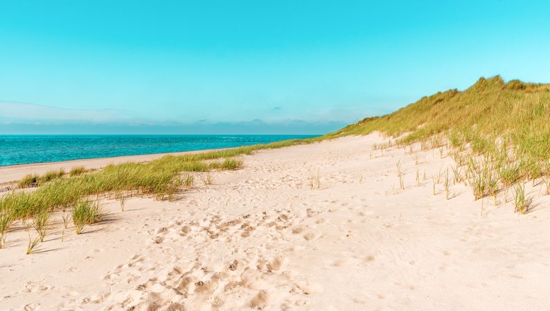Sylt island beach under a blue sky on a sunny day