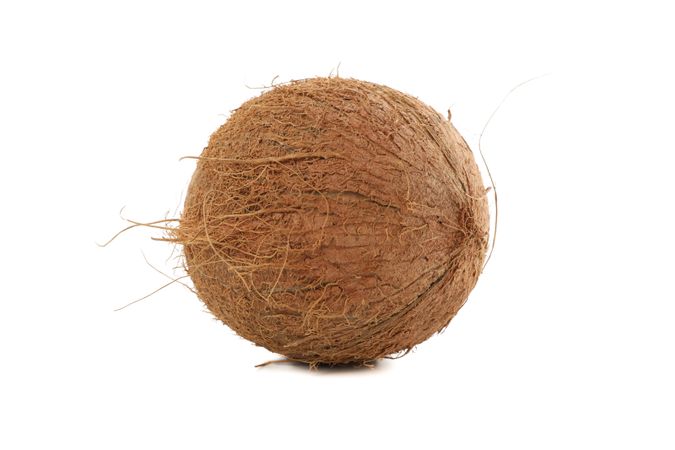 Whole coconut isolated on plain background. Tropical fruit