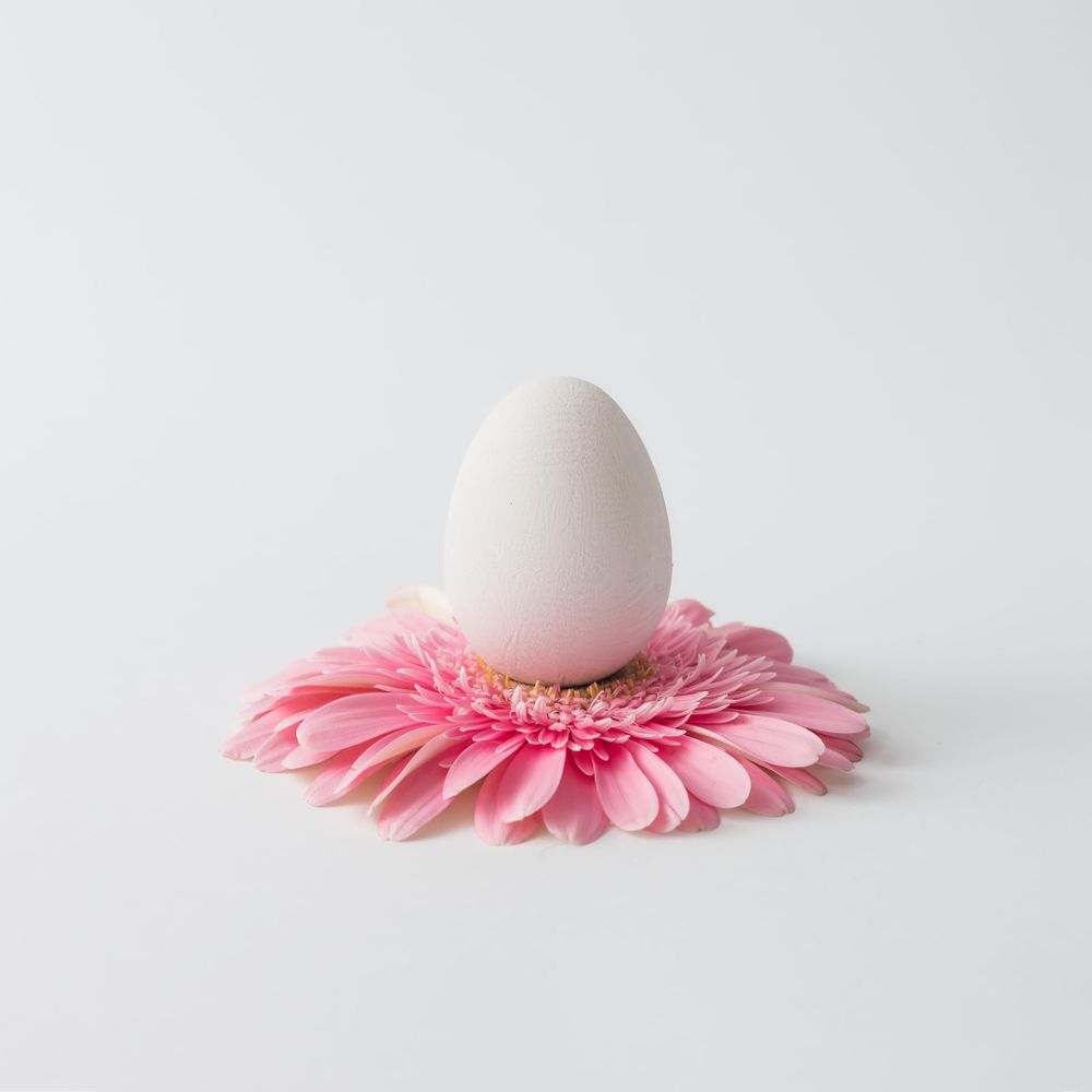 Plain egg laying on pink flower on light background