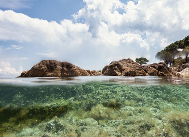 Stony island with bright greenery surrounded by water