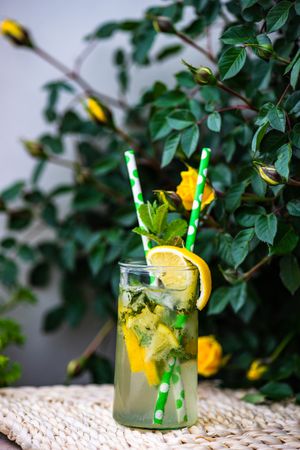 Gin and tonic cocktail with lemon and mint with straws