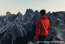 Back view of man in red jacket standing against mountains in Dolomites, Italy 5w8vy4