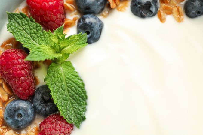 Composition with yogurt dessert and ingredients on neutral background, closeup