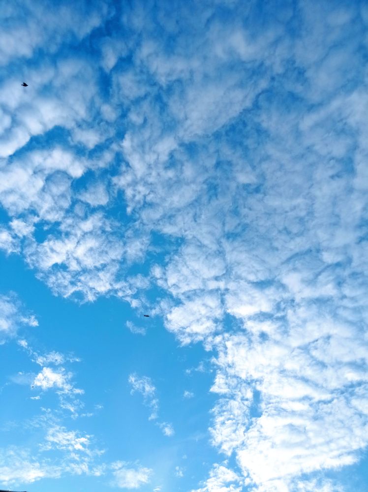 Low angle view of clouds in sky