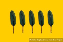 Green quill pens on yellow background 5nExQ0