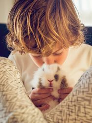 Cute boy kissing white rabbit