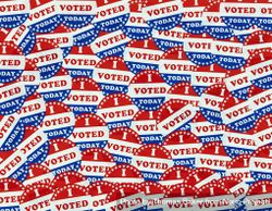 I Voted Today Stickers In Filled Frame - Free Photo (5amaQ5) - Noun Project