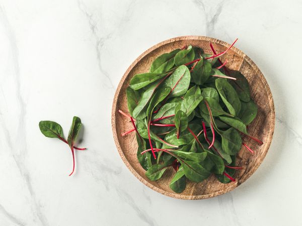Fresh salad of green chard leaves or mangold