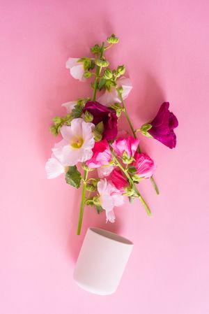 Tipped over pink flowers in a pink background