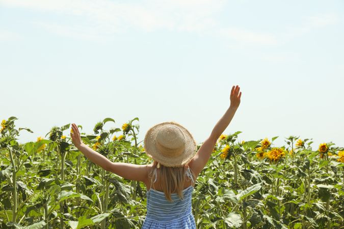woman in sunflower field. Summer sunny day