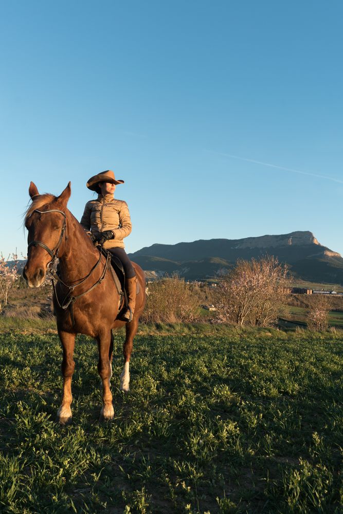 Woman on horse in field