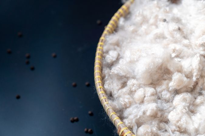 Kapok, tropical cotton fruit used for fiber and seed