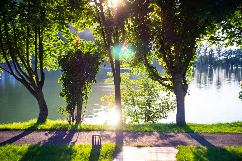Lopota lake with sunbeams