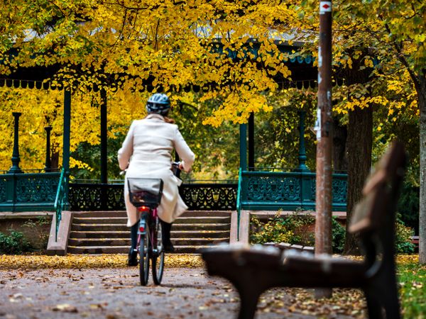 Autumn colors in the city of Strasbourg. Yellow, red, orange