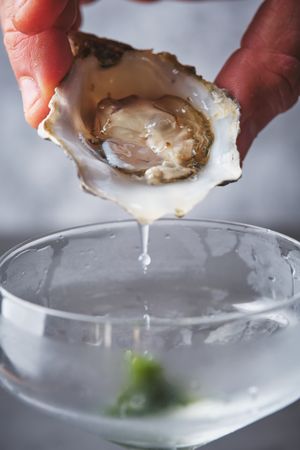 Refreshing martini cocktail with fresh oysters