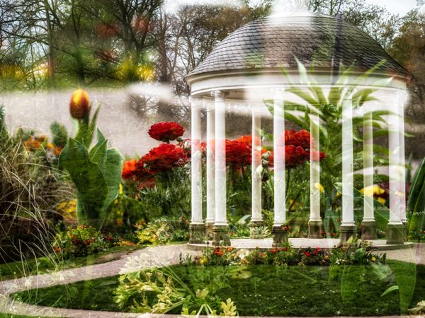 Blooming Orangerie park in Strasbourg. Magnolias, tulips, roses. Double exposure. Postcard.