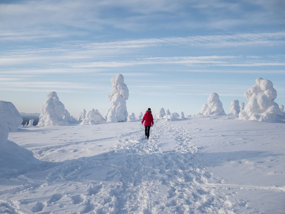 Person walking on snow covered ground