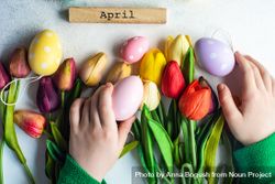 Flat lay of hands reaching for tulips and egg decorations 41l2nj