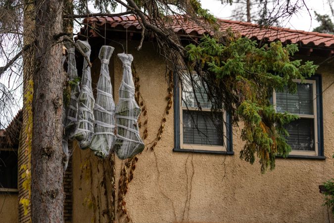 Hanging halloween decorations