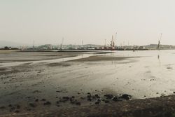 Industrial landscape with sea bay and port cranes