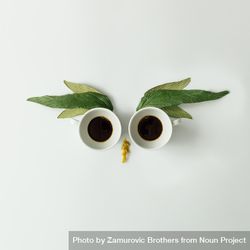 Owl face made of coffee cups and leaves 4mvrzb