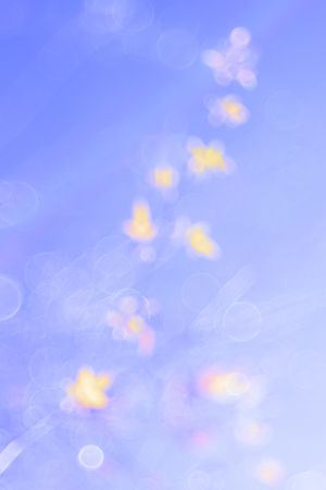 Tender dry leaves in blue light effect