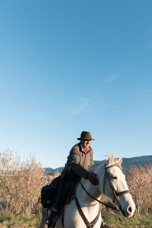 Old man on horse in field
