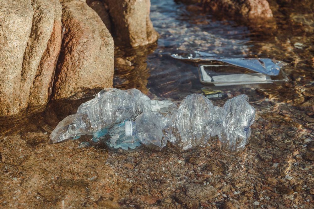Plastic bottle lying on seashore