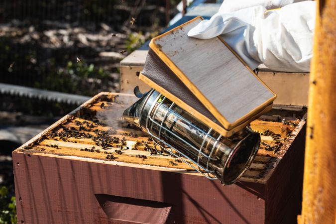 Bee smoker and hive in apiary