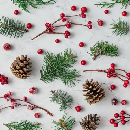 Pattern made of pine cones, pine needles, and holly berries on marble background