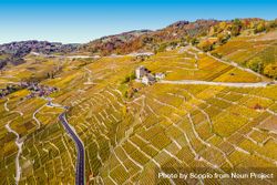 Aerial view of cultivated lands on mountain in Puidoux, Vaud, Switzerland 4AojW0