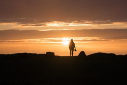 Woman with book standing at sunset