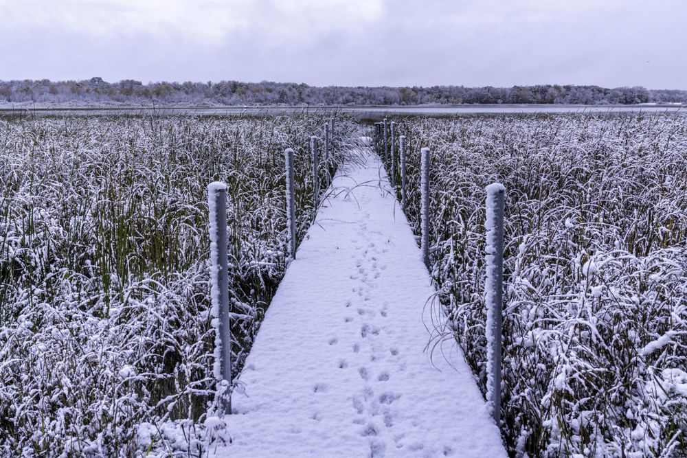 First snow and a dock with animal tracks in McGregor, Minnesota