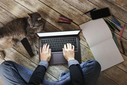 Person sitting floor and working on laptop near cat