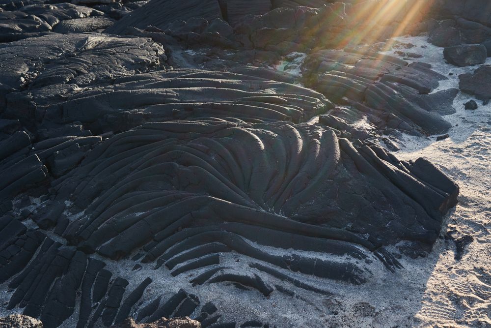 Rough shore of sea
