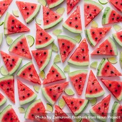 Watermelon pattern with and lime slices and blueberries 0KggN0
