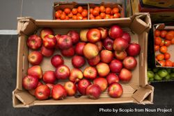 Top view of red apples in brown crate 4jMa85