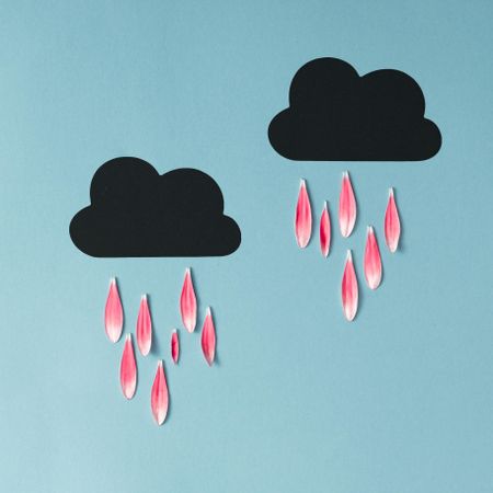 Storm clouds raining pink petals