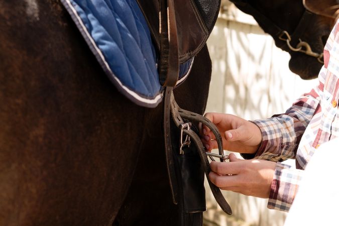 Woman fastening girth on saddle beside horse in stable.