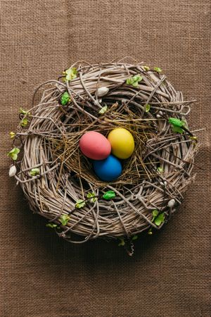 Decorated Easter egg in bird nest