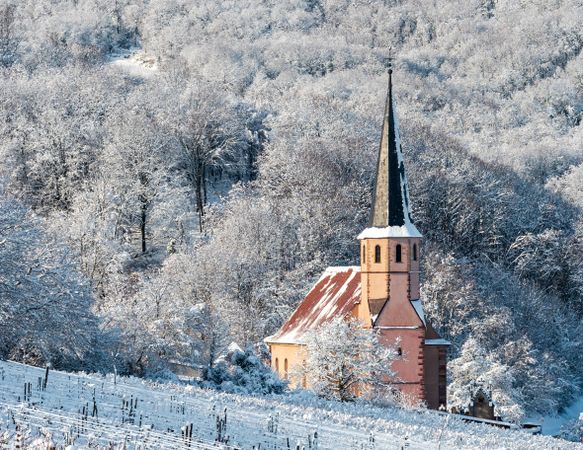 Winter's Tale. Snow-covered clean light landscape of Alsace.