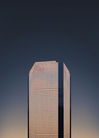 Hexagon shaped reflective building