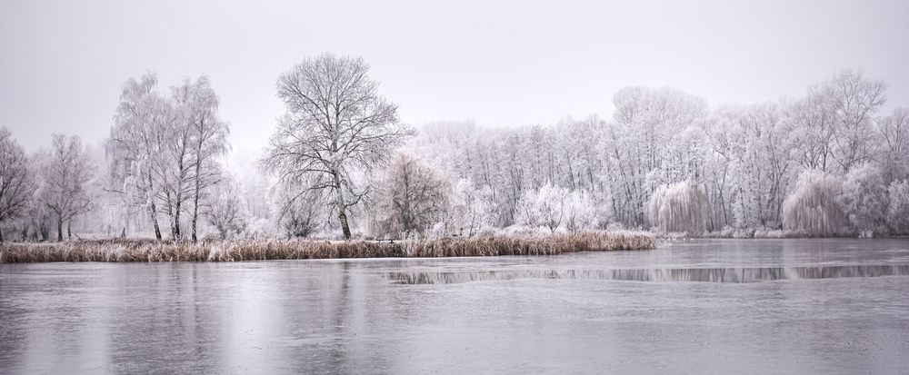 Winter lake on an overcast day, wide