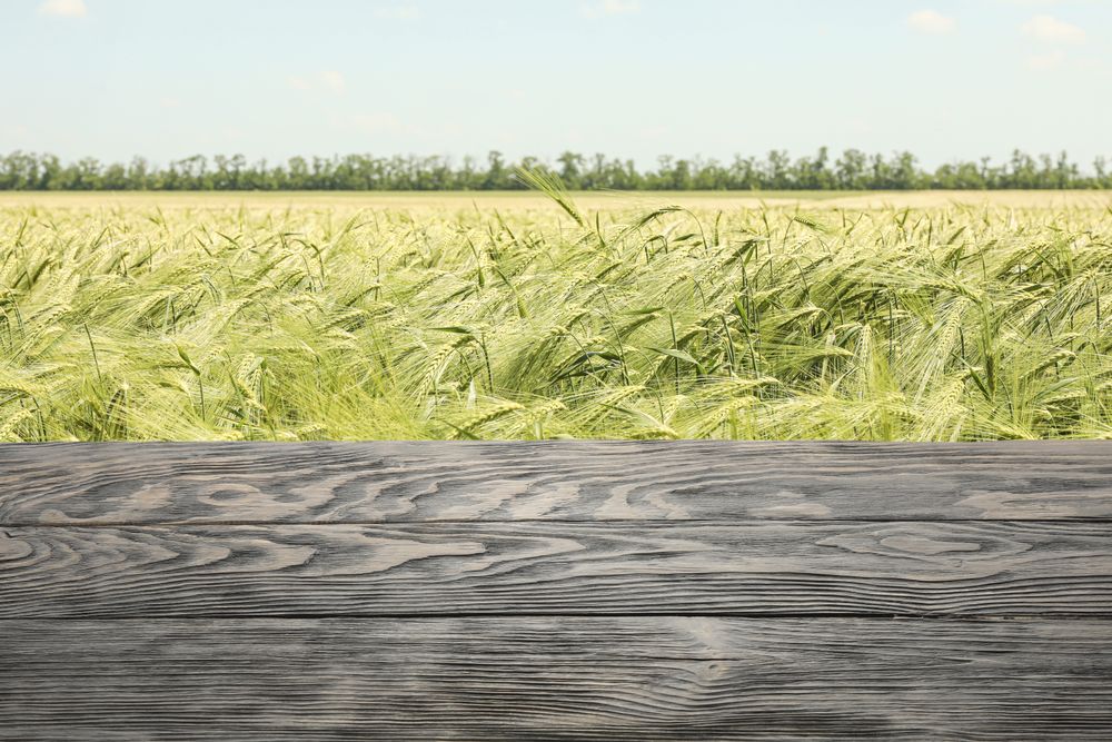 Wooden table surface against overcast background, space for text